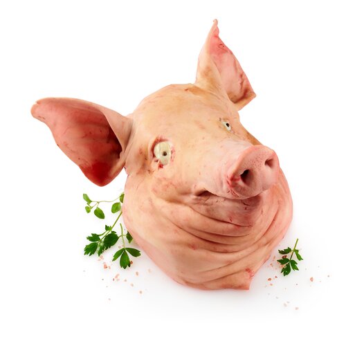 Vepřová hlava