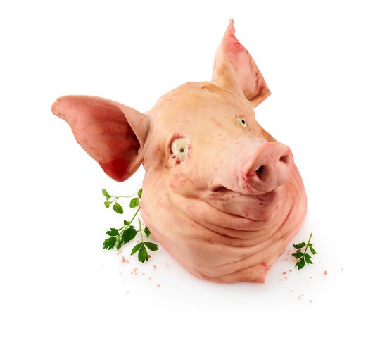 Vepřová hlava