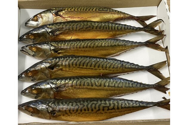 Uzená makrela