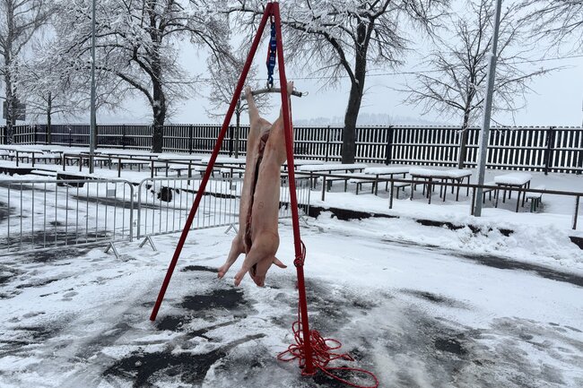 Druhá obecní zabijačka ve Vendryni se vydařila na jedničku